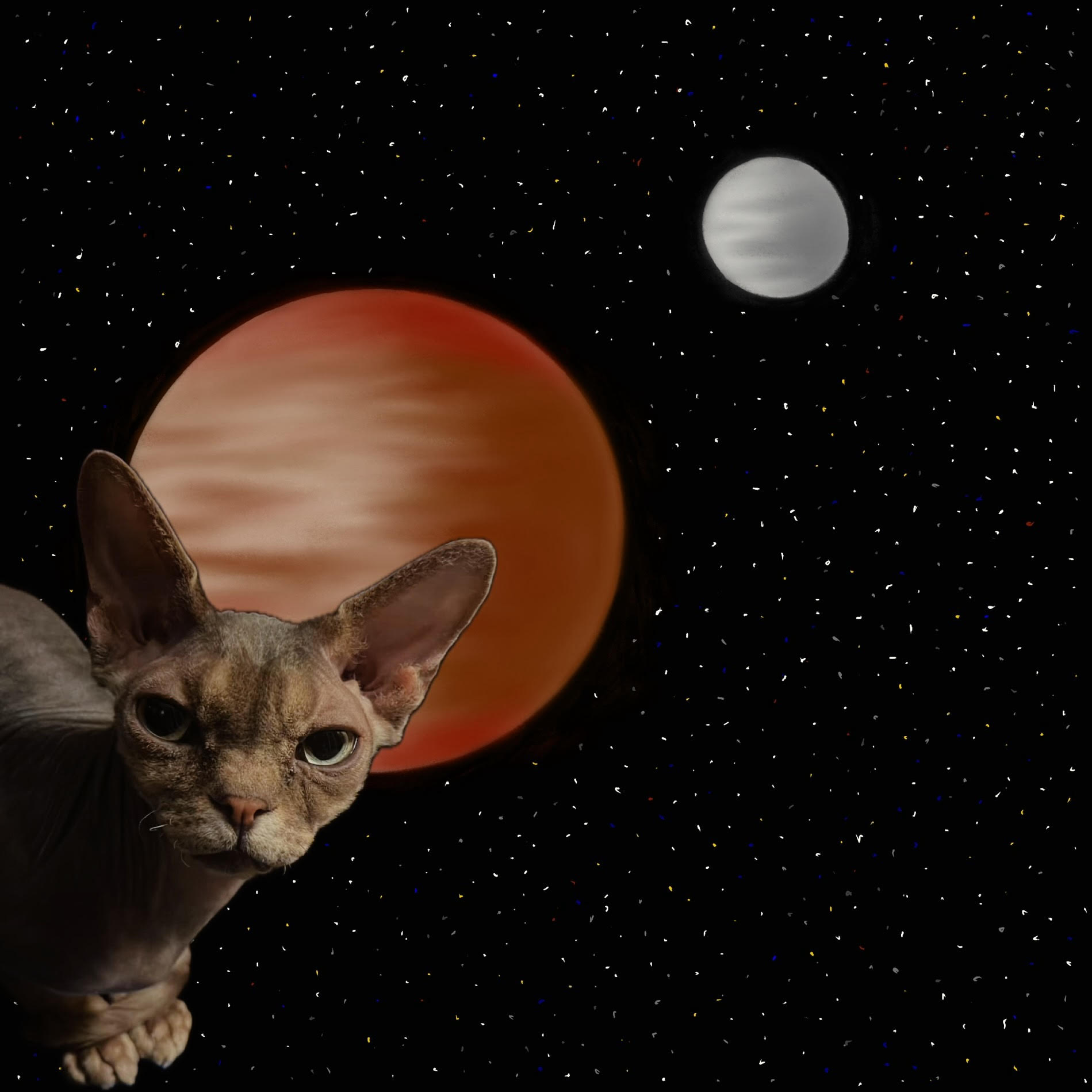 Spacecat